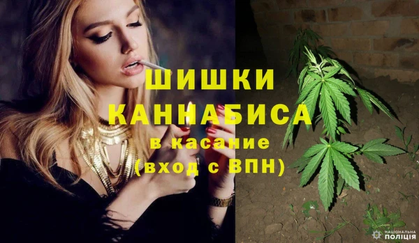ПСИЛОЦИБИНОВЫЕ ГРИБЫ Наволоки