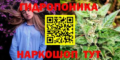 эйфоретик Бугуруслан