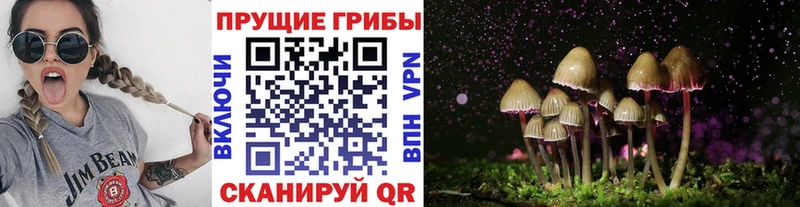 Галлюциногенные грибы прущие грибы  KRAKEN ссылки  Дзержинск 