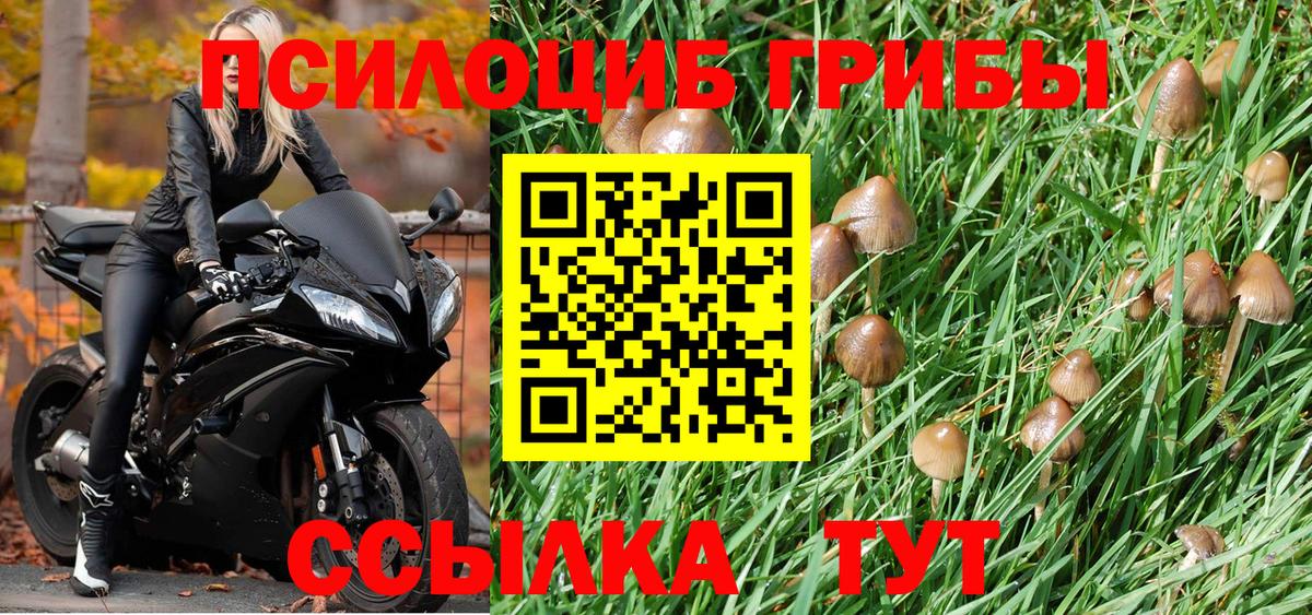 Псилоцибиновые грибы ЛСД Дзержинск