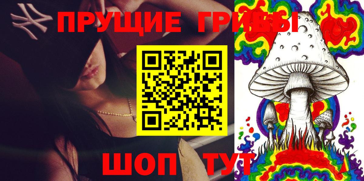 наркота  Дзержинск  Псилоцибиновые грибы мицелий  Псилоцибиновые грибы Psilocybine cubensis 