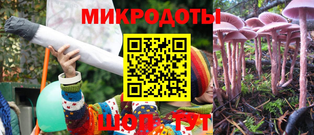 Дзержинск  Псилоцибиновые грибы мицелий  Вход с VPN 