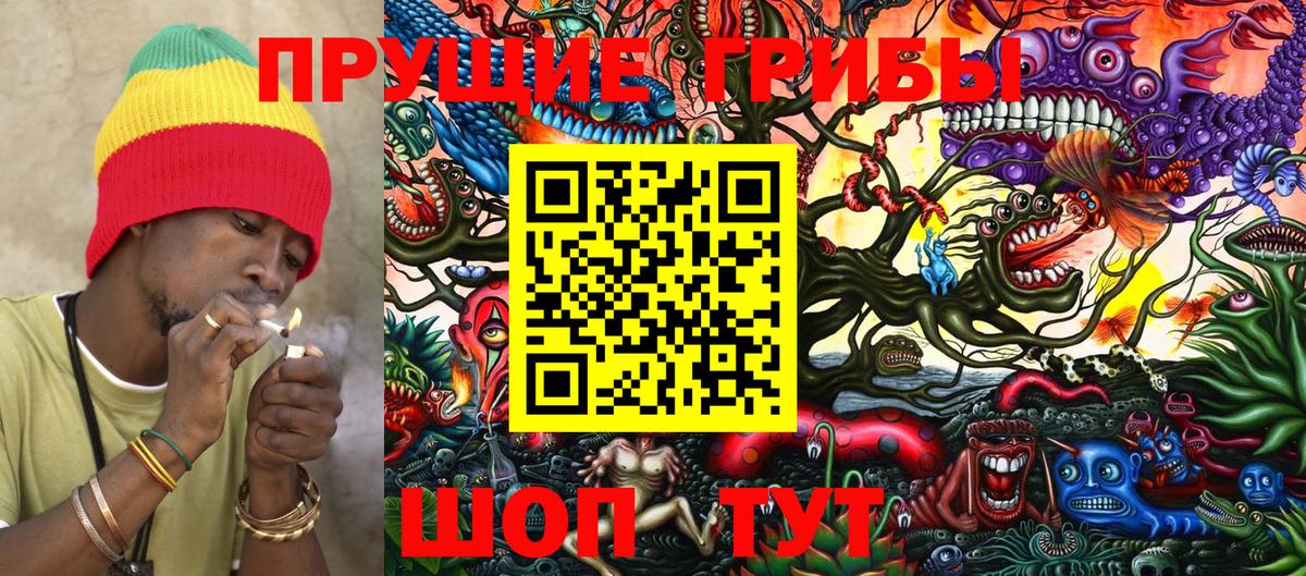 Псилоцибиновые грибы Psilocybe Дзержинск