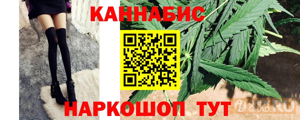 Бошки Шишки план  Дзержинск  Конопля план  Конопля Amnesia  Марихуана план 